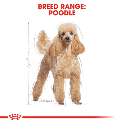 Royal Canin Poodle Adult Dry Dog Food 1.5kg