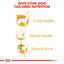 Royal Canin Poodle Adult Dry Dog Food 1.5kg