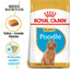 Royal Canin Puppy Poodle Dry Food 1.5kg