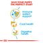 Royal Canin Puppy Poodle Dry Food 1.5kg