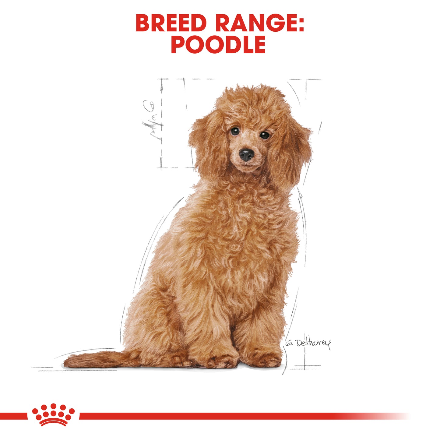 Royal Canin Puppy Poodle Dry Food 1.5kg
