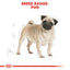 Royal Canin Pug Adult Dry Dog Food 1.5kg
