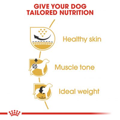 Royal Canin Pug Adult Dry Dog Food 1.5kg