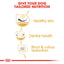 Royal Canin Shih Tzu Adult Dry Dog Food 1.5kg