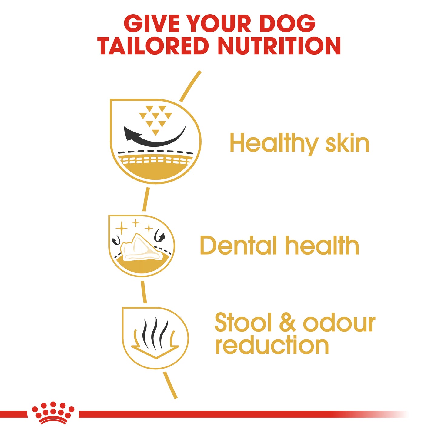 Royal Canin Shih Tzu Adult Dry Dog Food 1.5kg