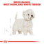 Royal Canin West Highland White Terrier Adult Dry Dog Food 3kg