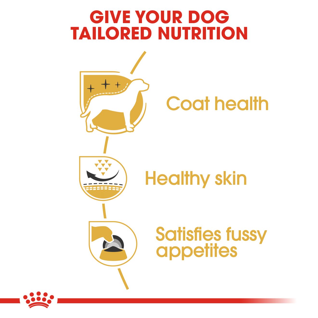 Royal Canin West Highland White Terrier Adult Dry Dog Food 3kg