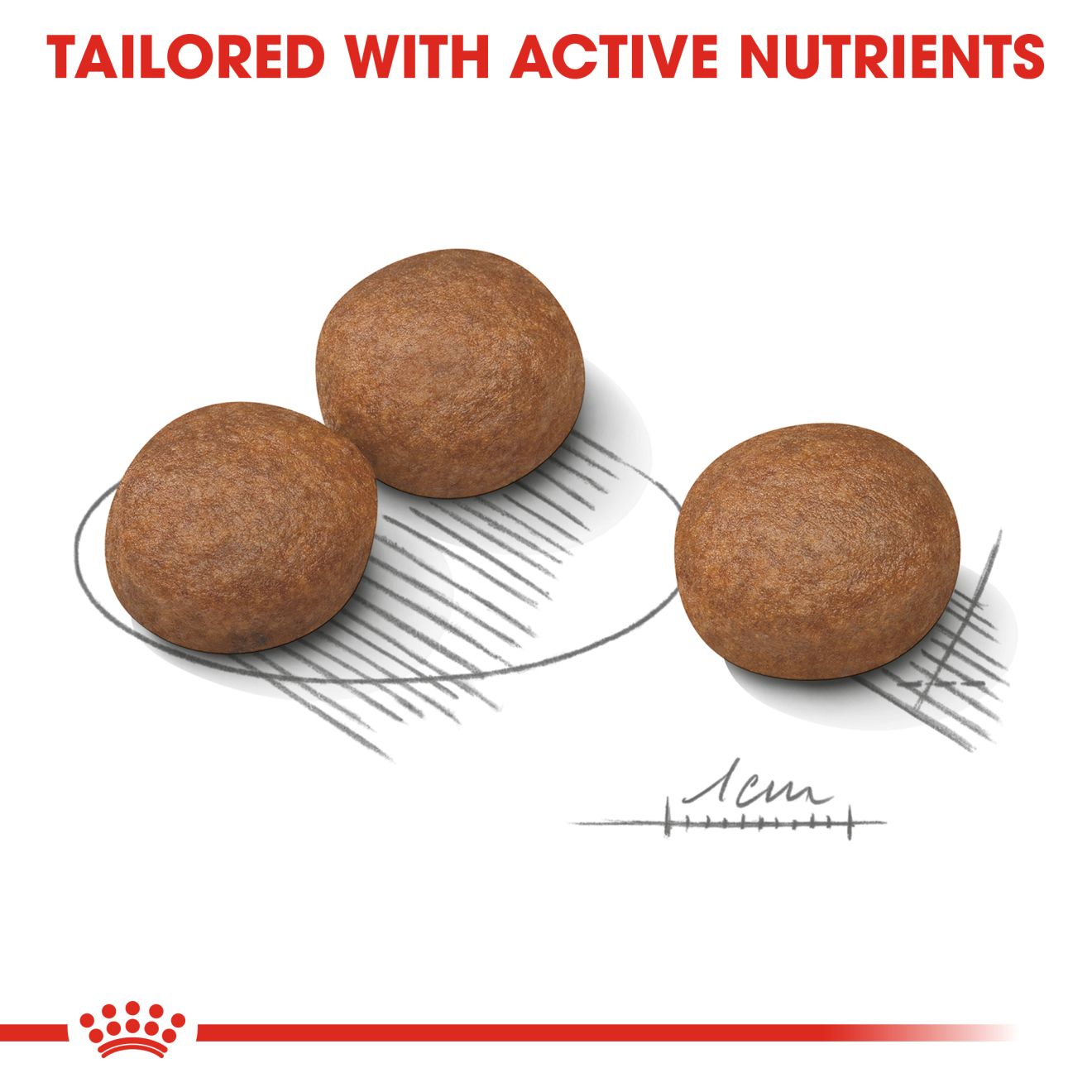 Royal Canin Medium Digestive Care Dry Dog Food 3kg