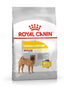 Royal Canin Medium Dermacomfort Dry Dog Food 3kg & 12kg