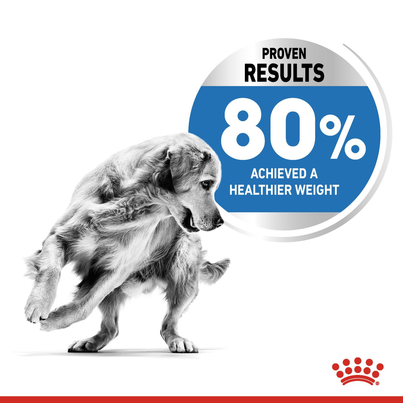 Royal Canin Medium Light Weight Care Dry Dog Food 3kg