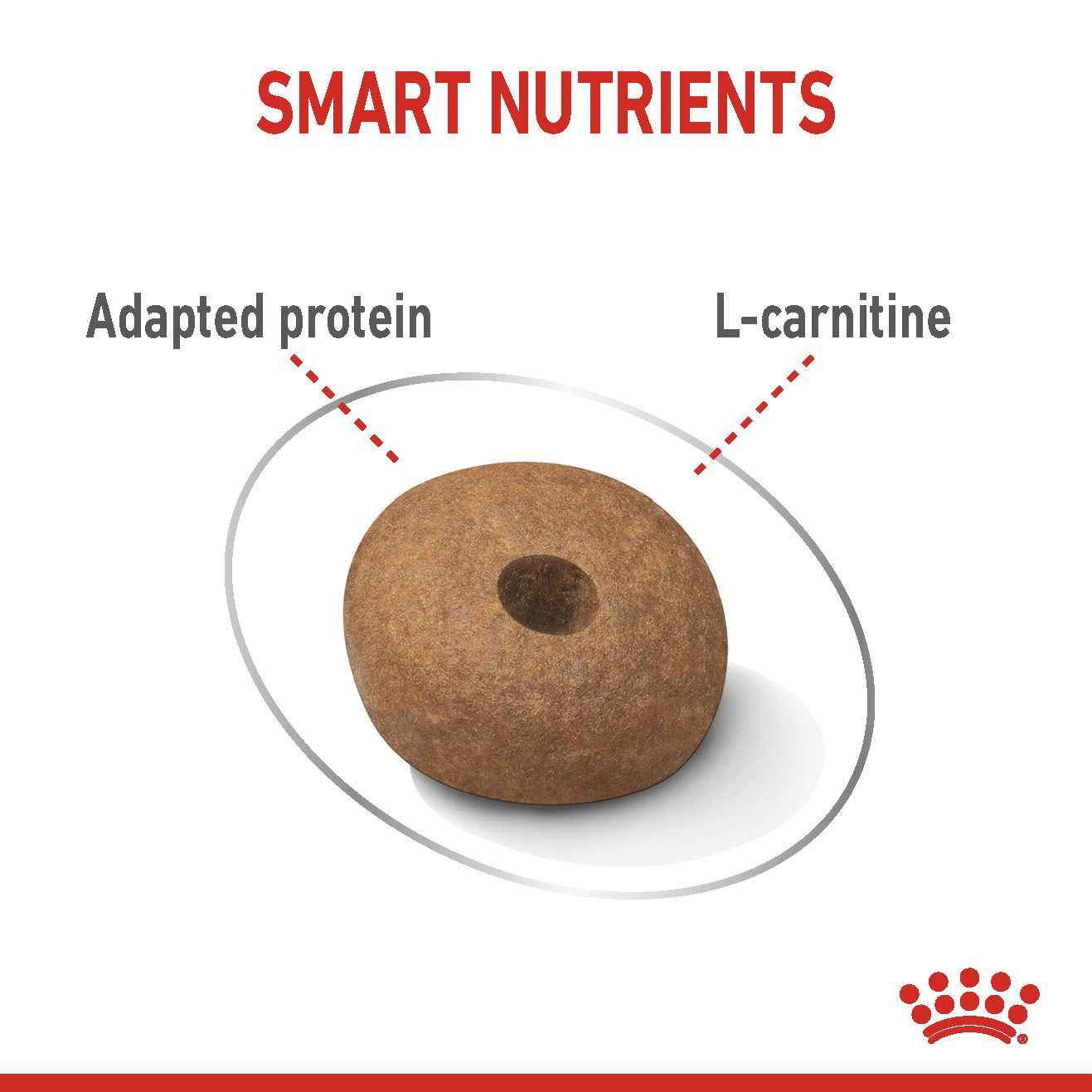 Royal Canin Medium Light Weight Care Dry Dog Food 3kg