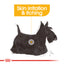 Royal Canin Mini Dermacomfort Dry Dog Food 1kg & 3kg