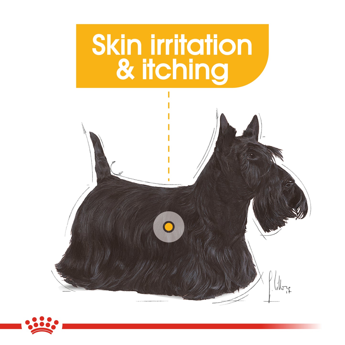 Royal Canin Mini Dermacomfort Dry Dog Food 1kg & 3kg