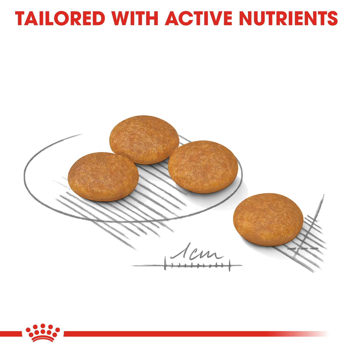 Royal Canin Mini Dermacomfort Dry Dog Food 1kg & 3kg