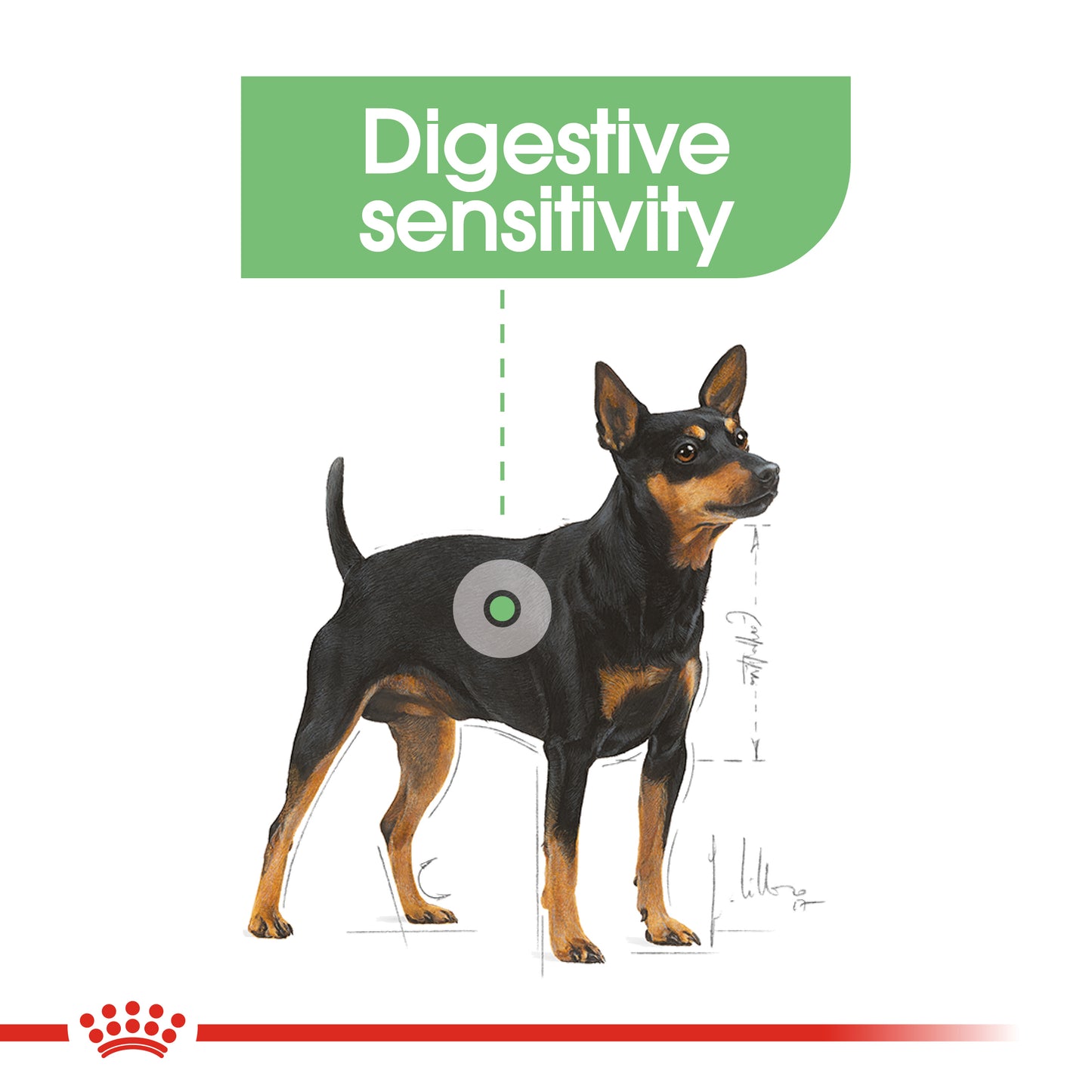 Royal Canin Mini Digestive Care Dry Dog Food 1kg
