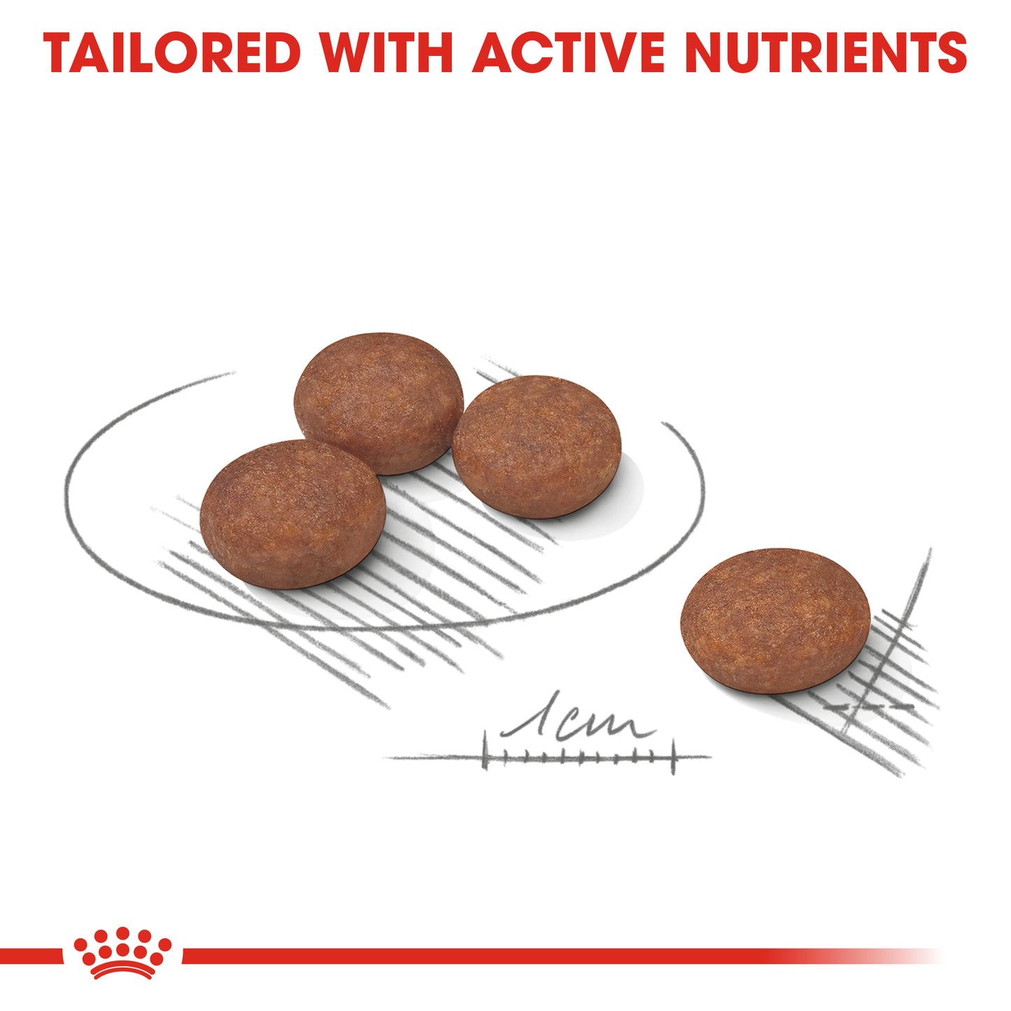 Royal Canin Mini Digestive Care Dry Dog Food 1kg