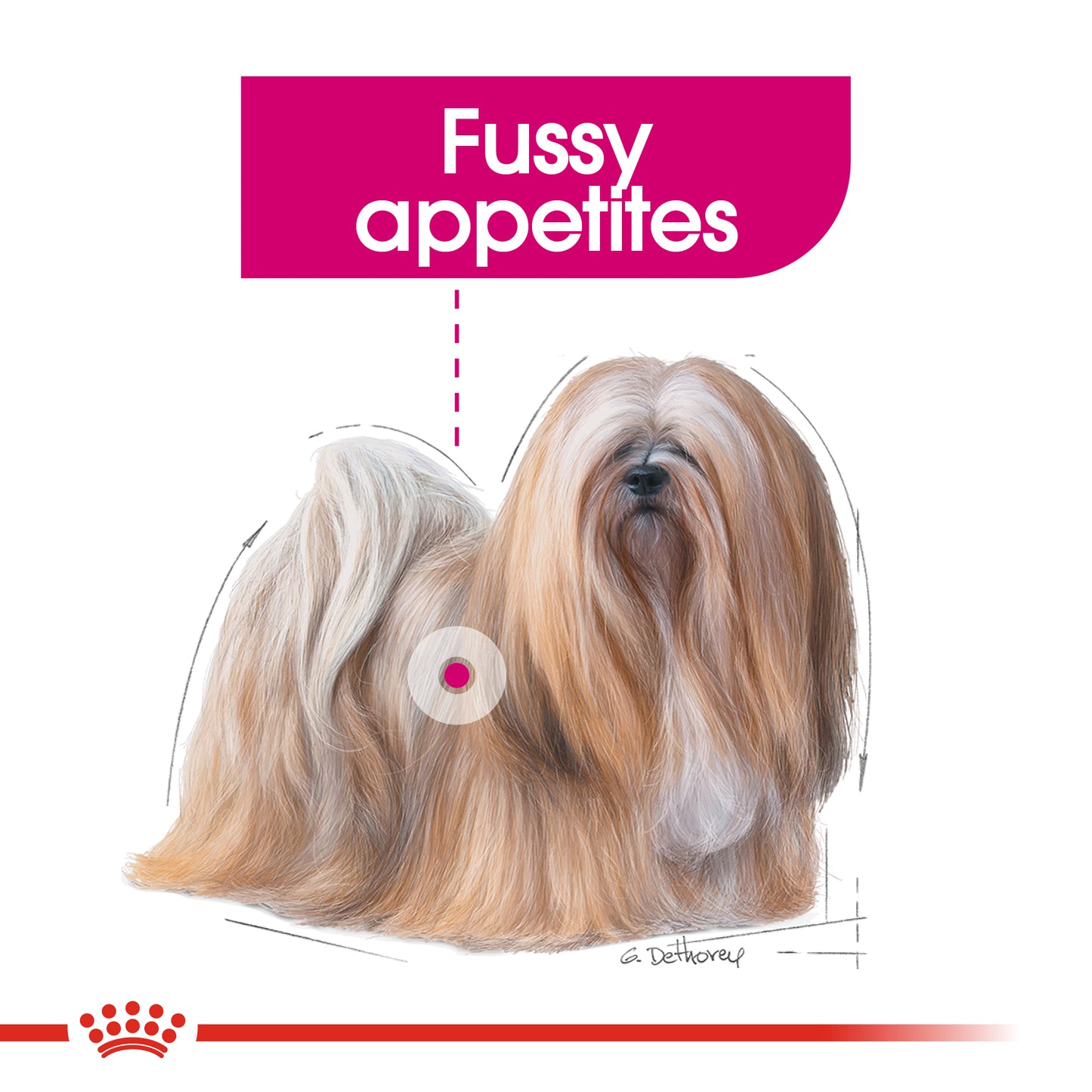 Royal Canin Mini Exigent Dry Dog Food 1kg