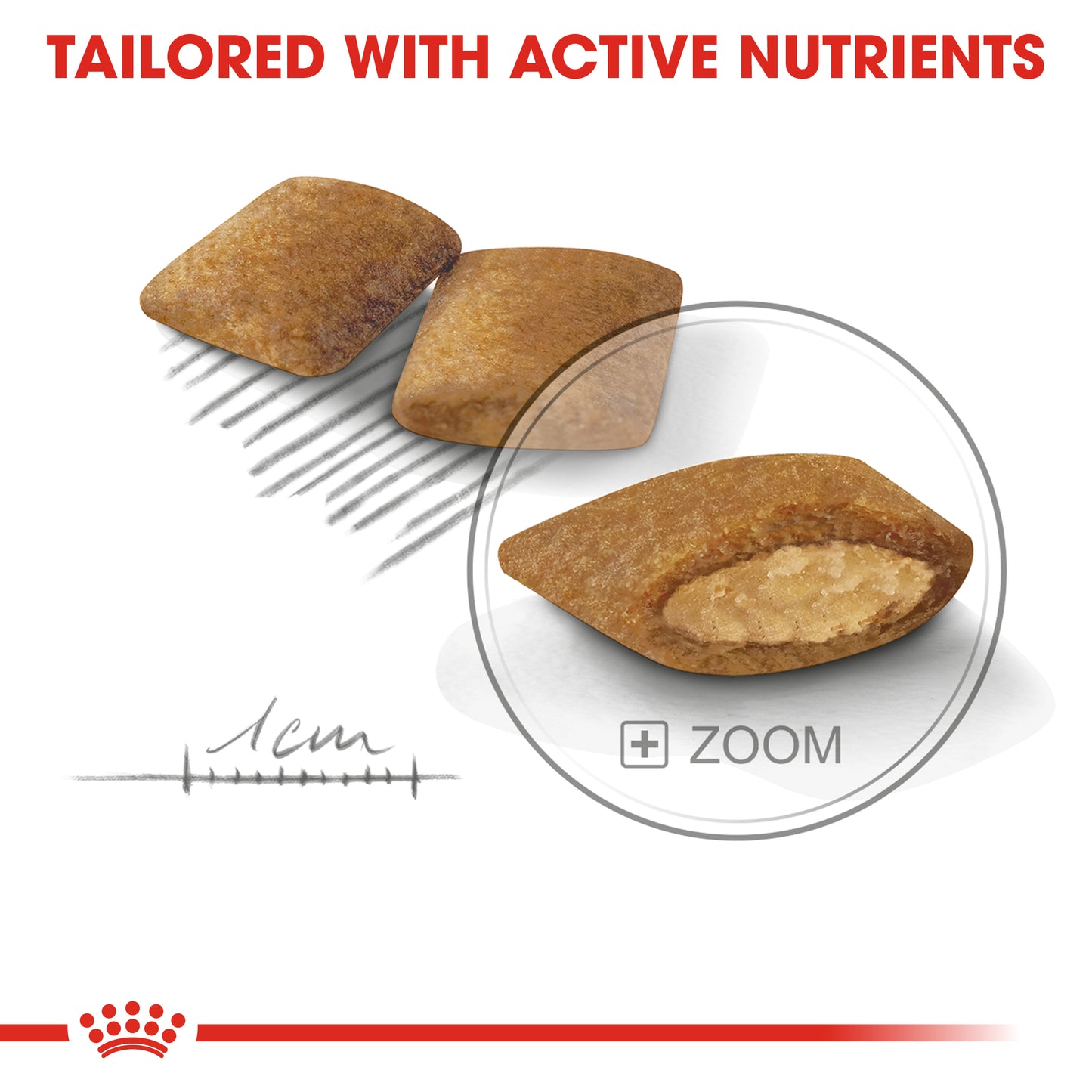 Royal Canin Mini Exigent Dry Dog Food 1kg