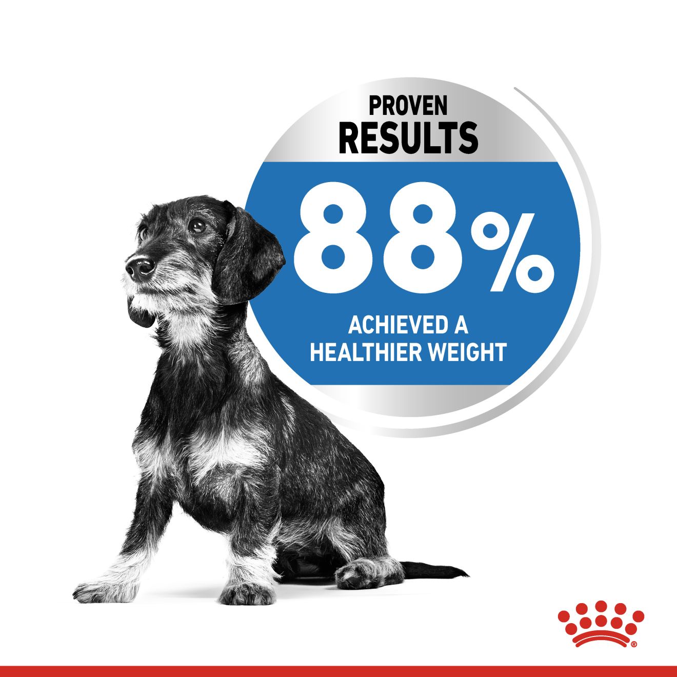 Royal Canin Mini Light Weight Care Dry Dog Food 1kg