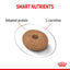 Royal Canin Mini Light Weight Care Dry Dog Food 1kg