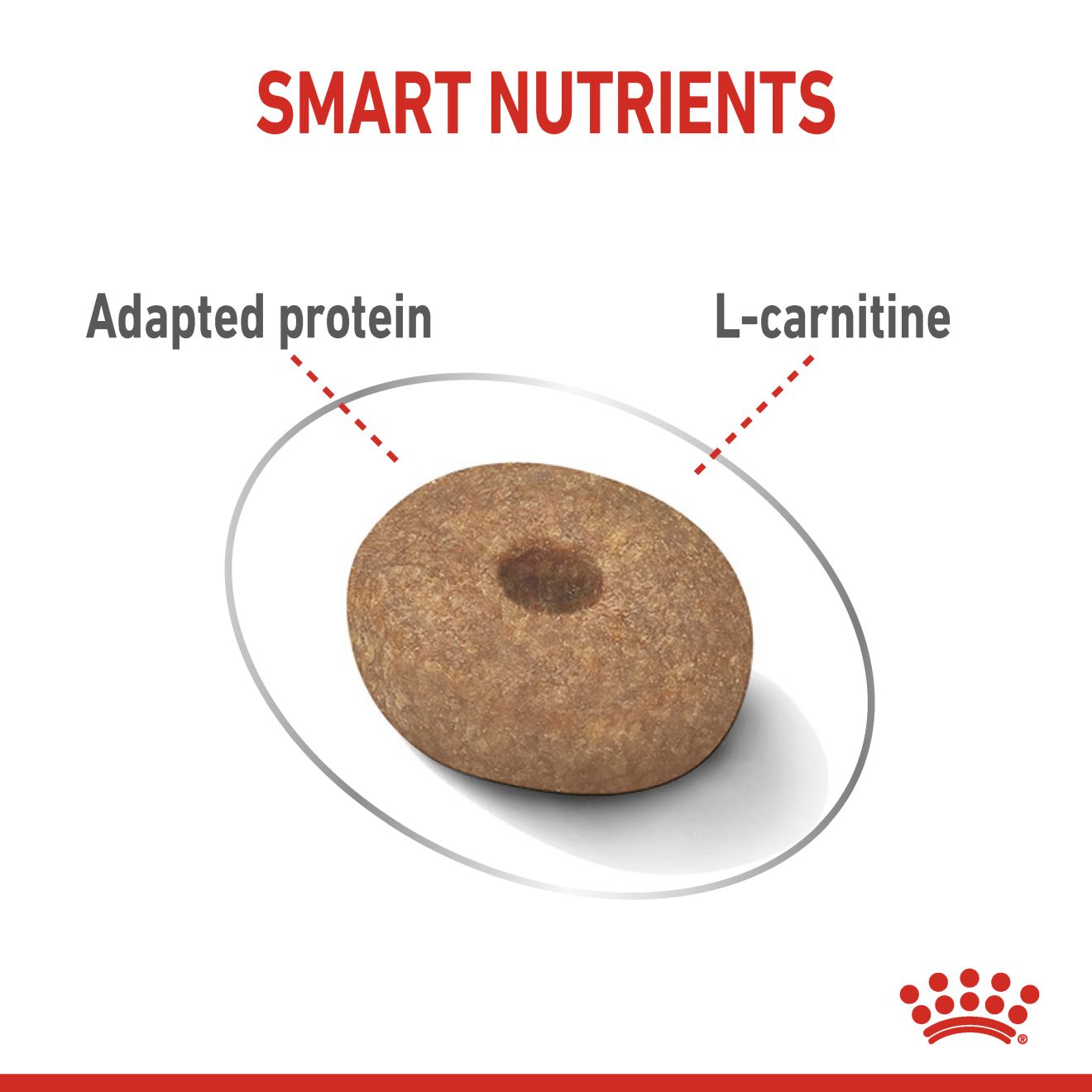 Royal Canin Mini Light Weight Care Dry Dog Food 1kg