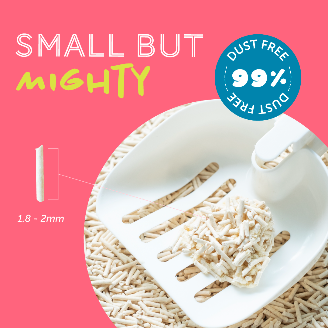 Daily Delight HAPPEA Cat Litter 8L