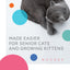 Daily Delight Mousse Wet Cat Food 70/80g