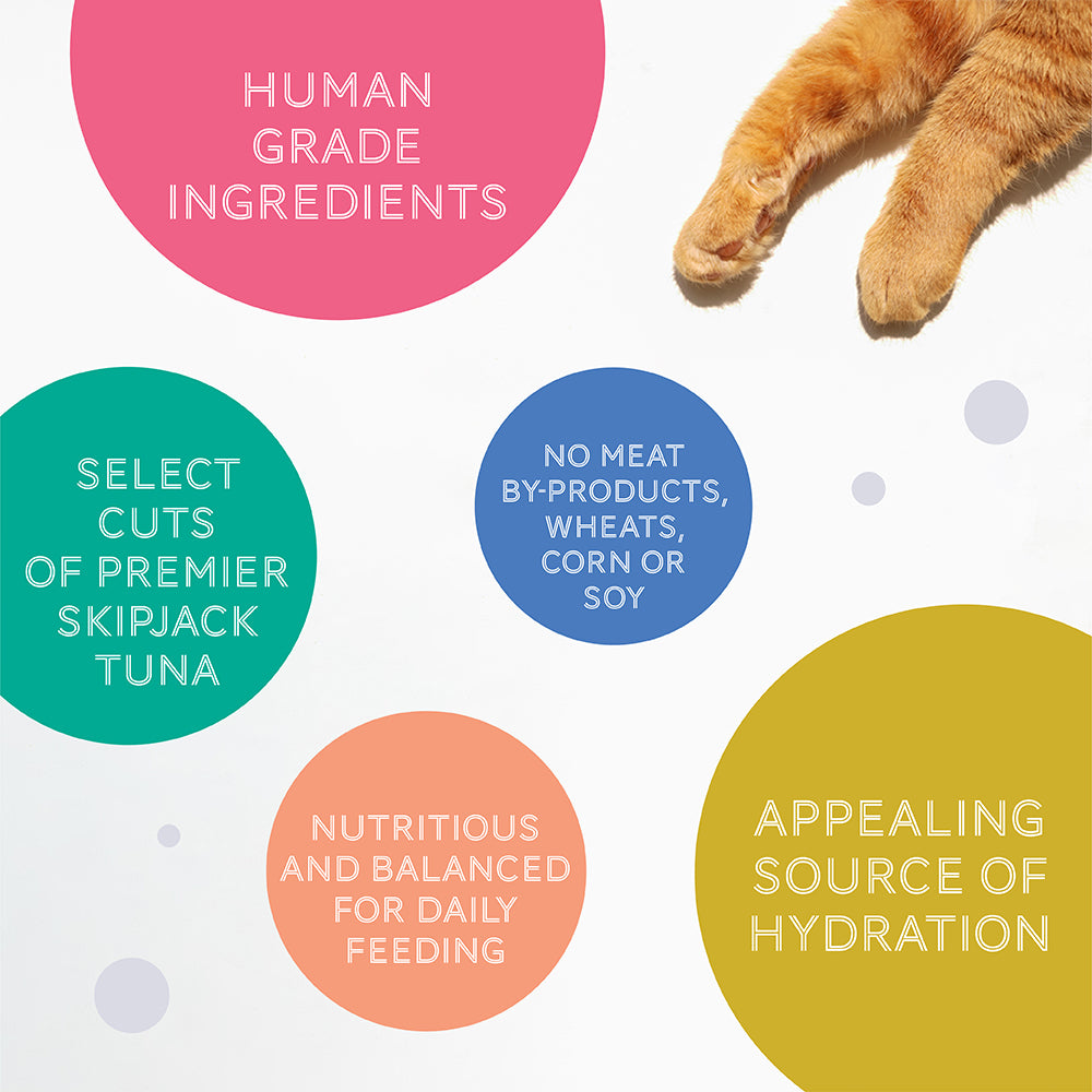 Daily Delight Jelly Skipjack Tuna Wet Cat Food 80g