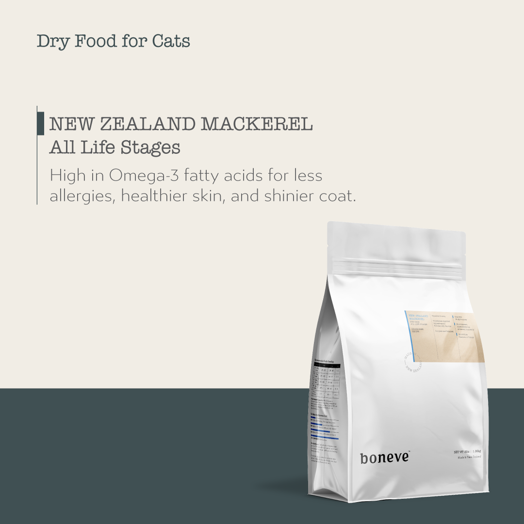 Boneve Grain Free Dry Cat Food (Mackerel)