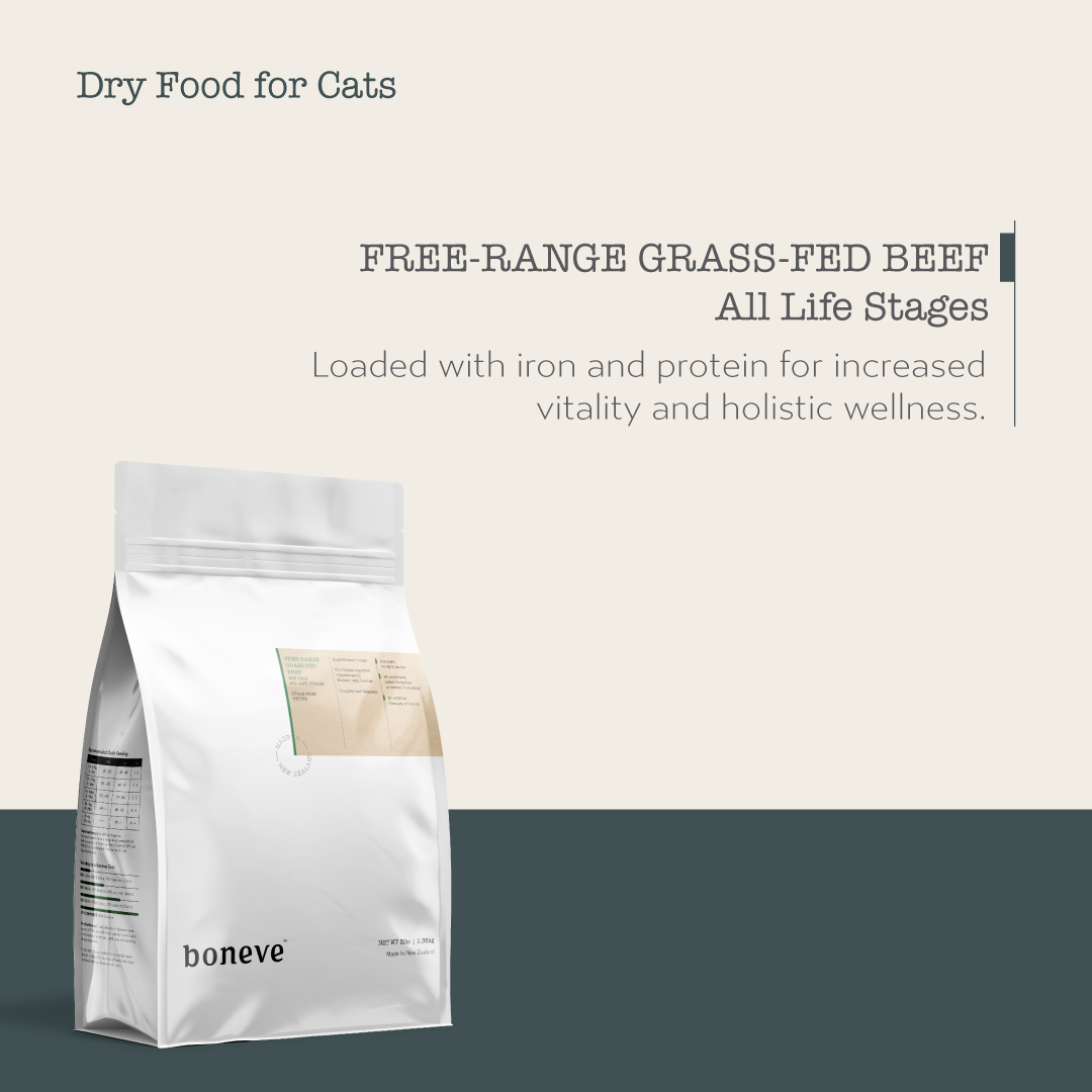 Boneve Grain Free Dry Cat Food (Beef)
