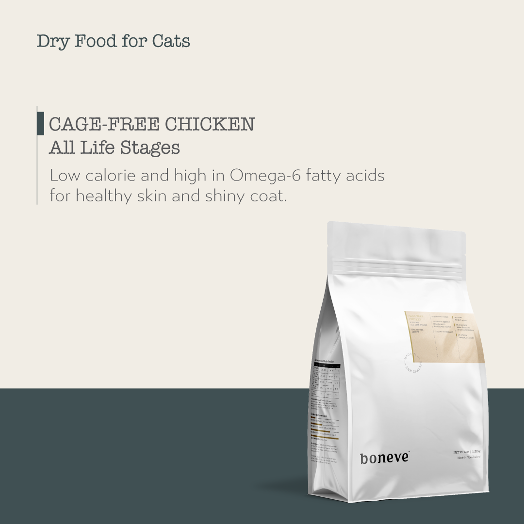 Boneve Grain Free Dry Cat Food (Chicken)