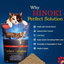 Perfect Solution - Hinoki Wood Clumping Cat Litter 7L
