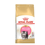 Royal Canin Persian Cat Dry Food
