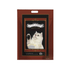 Premium Cats Agree Tofu Cat Litter 7L