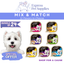 💥 Cesar Dog Food Wet 100g | Mix & Match 11 Flavours | Bundle of 24 🐶 Save More, Feed Better!