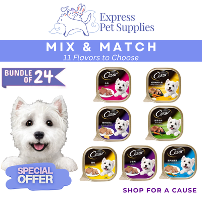 💥 Cesar Dog Food Wet 100g | Mix & Match 11 Flavours | Bundle of 24 🐶 Save More, Feed Better!