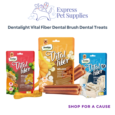 Dentalight Vital Fiber Dental Brush Dental Treats 8x80g