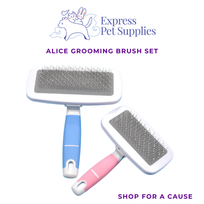 Alice Grooming Brush Set