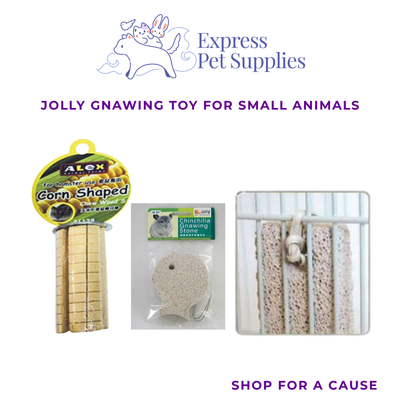 Jolly Gnawing Toy for Small Animals