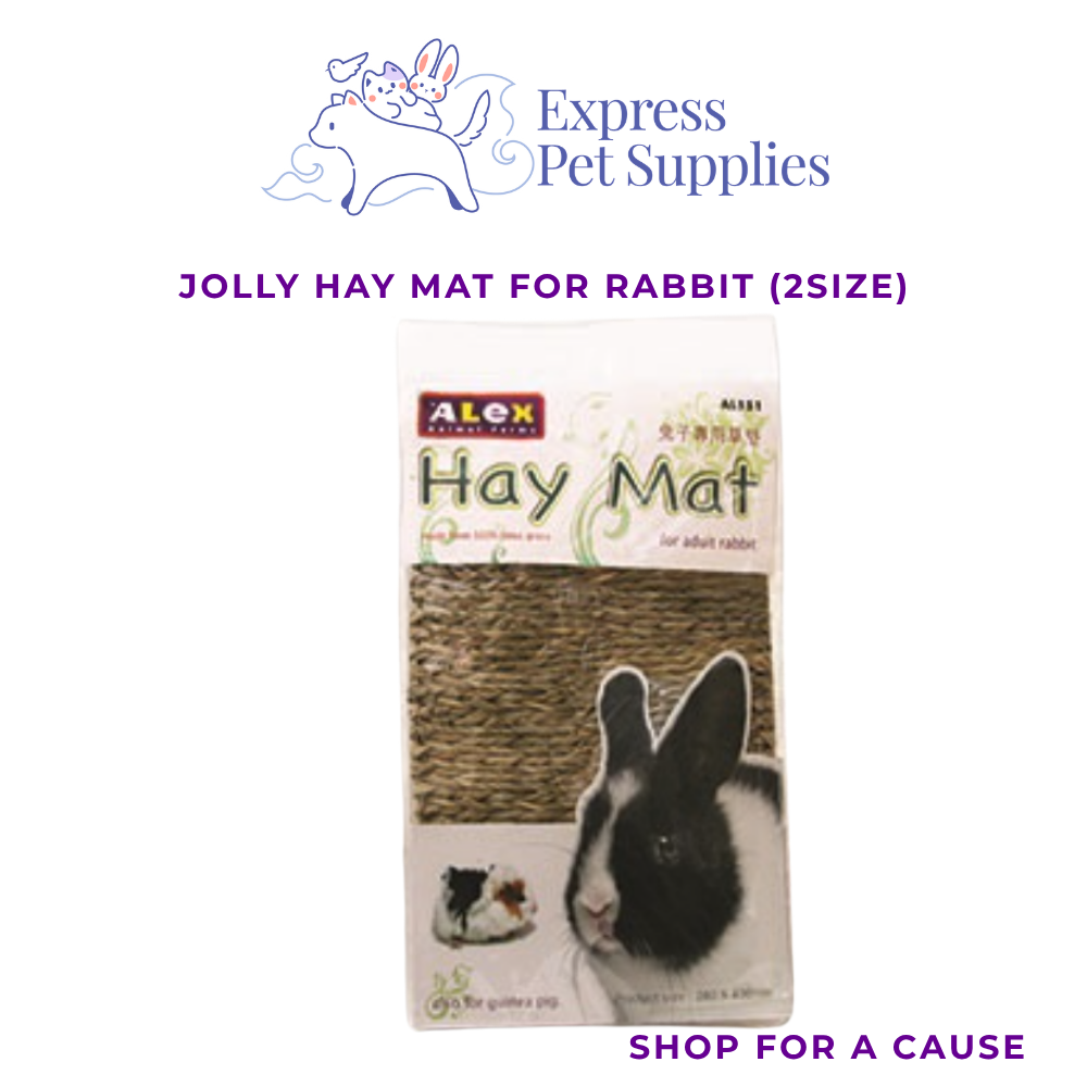 Jolly Hay Mat For Rabbit (Small & Large)