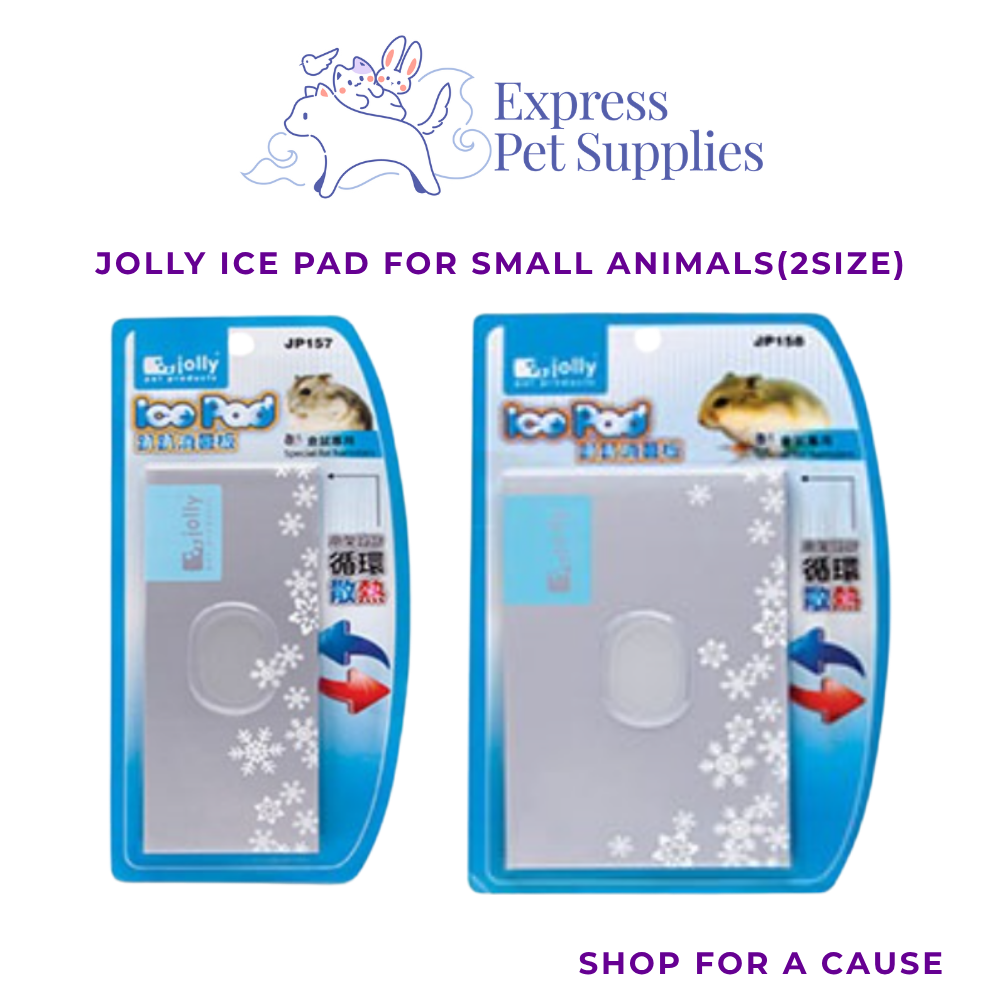 Jolly Ice Pad for Small Animals
