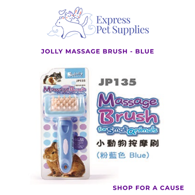 Jolly Massage Brush - Blue