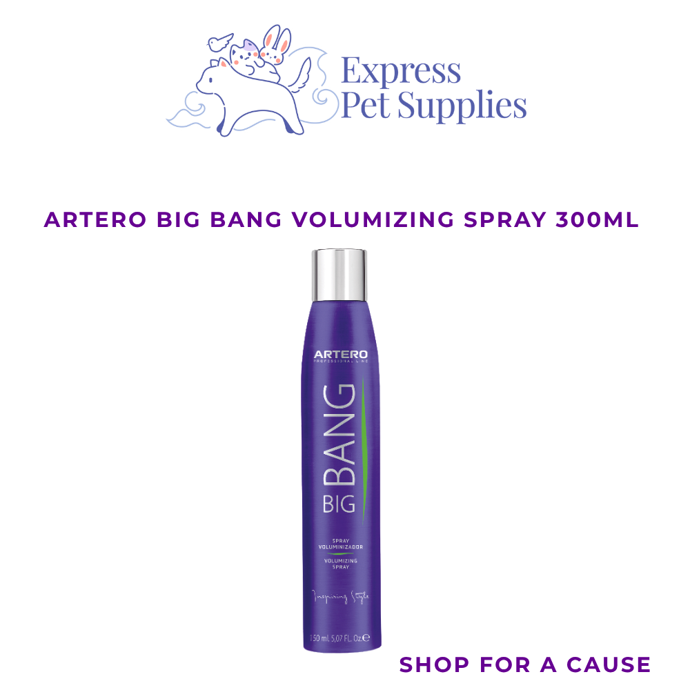 ARTERO Big Bang Volumizing Spray 300ml