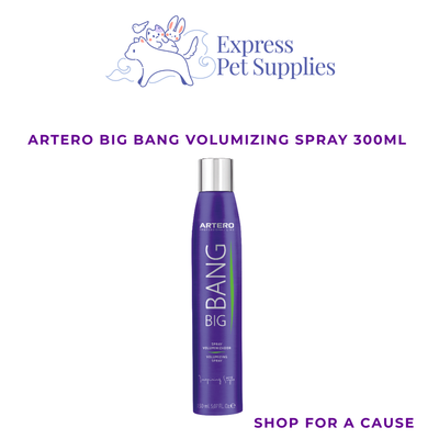 ARTERO Big Bang Volumizing Spray 300ml