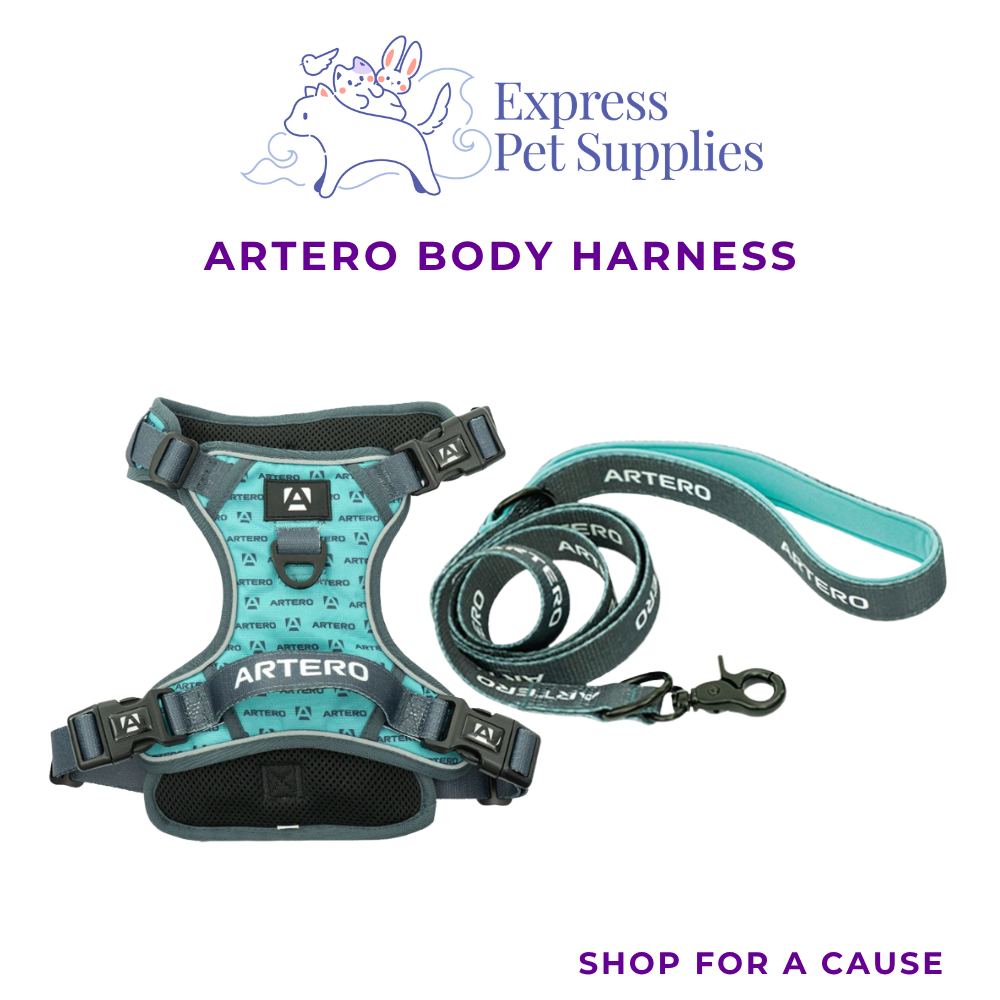 ARTERO Body Harness(S,M & L) and Leash120cm for Pet