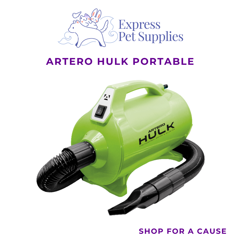 ARTERO Hulk Portable (LIMITED)