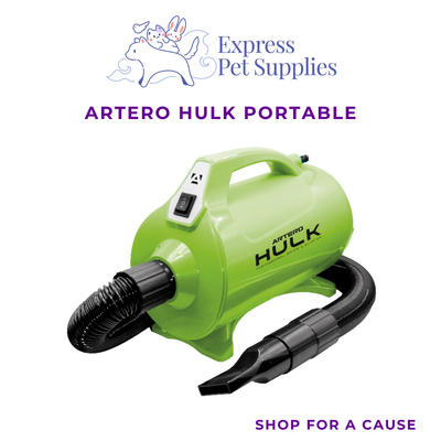 ARTERO Hulk Portable (LIMITED)