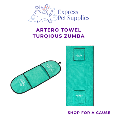 ARTERO Towel Turqious Zumba