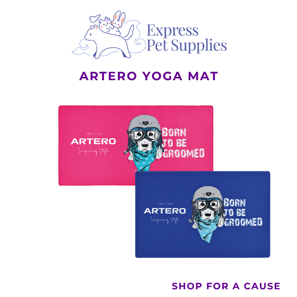 ARTERO Yoga Mat (Medium: ~85 × 55 cm & Large: ~115 × 60 cm)