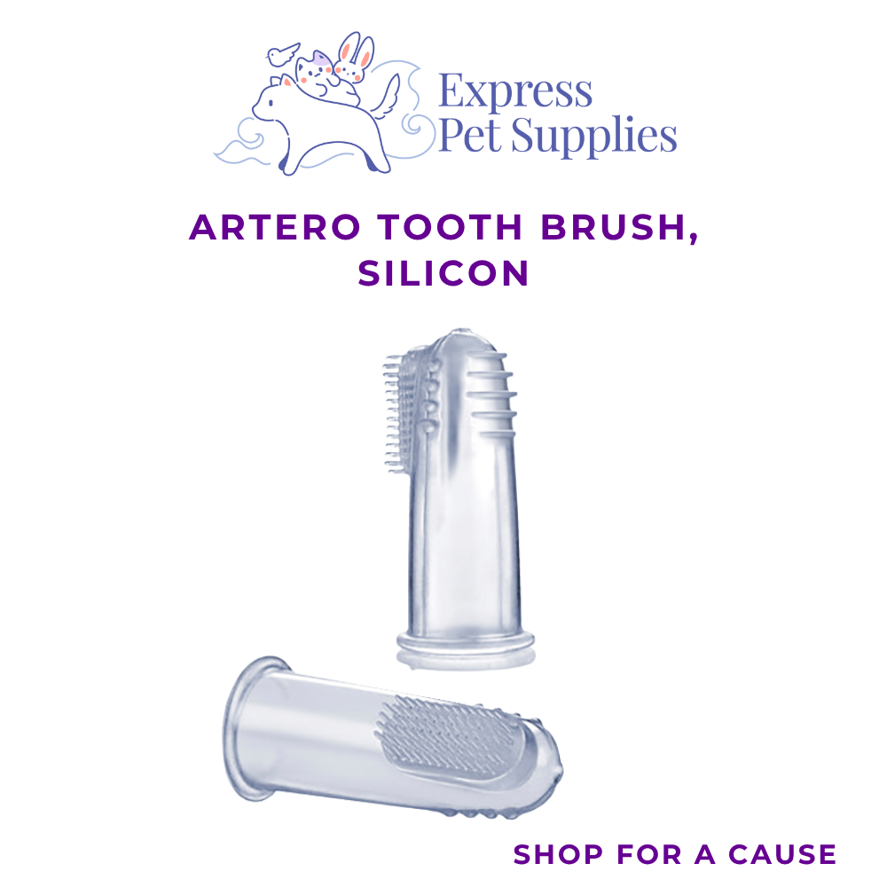 ARTERO Tooth Brush, Silicon
